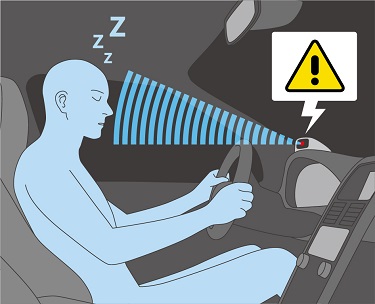 Driver / Occupant Monitoring Camera